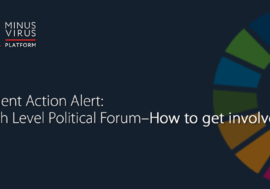 Urgent Action Alert: High Level Political Forum–How to get involved