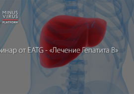 Вебинар – Лечение Гепатита B