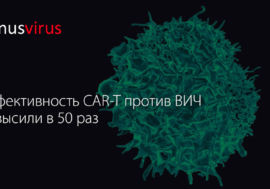 Эффективность CAR-T против ВИЧ повысили в 50 раз