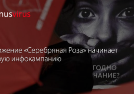 Движение «Серебряная Роза» начинает новую кампанию против насилия