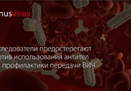 Исследователи предостерегают против использования антител для профилактики передачи ВИЧ