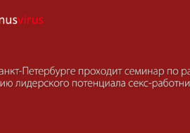 В Санкт-Петербурге проходит семинар по развитию лидерского потенциала секс-работников