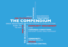 WHO compendium of TB guidelines and associated standards