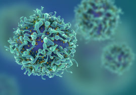 Researchers find latent HIV reservoirs inherently resistant to elimination by CD8+ T-cells