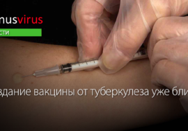 Cоздание вакцины от туберкулеза уже близко