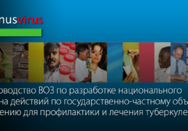 Руководство по разработке национального плана действий по государственно-частному объединению для профилактики и лечения туберкулеза