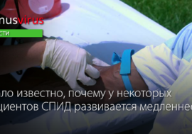Стало известно, почему у некоторых пациентов стадия СПИДа развивается медленнее
