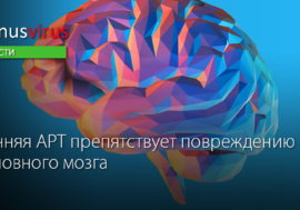 Ранняя АРТ препятствует повреждению головного мозга