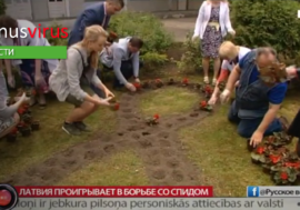 В Риге в память умерших от СПИДа высадили цветы (видео)