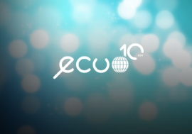 The ECUO holds a grant competition within the framework of the “Partnership” program